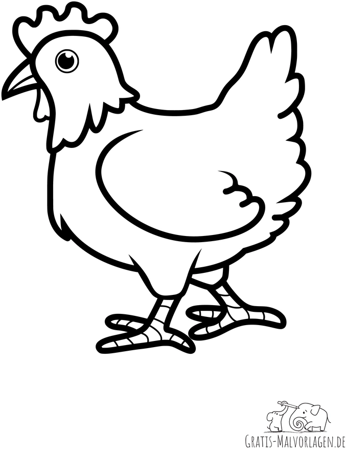 malvorlage-huhn-ausmalbild-fuer-kinder