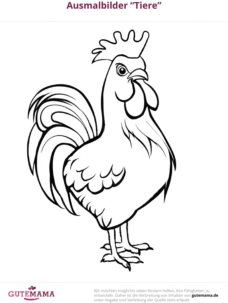 malvorlage-huhn-ausmalen
