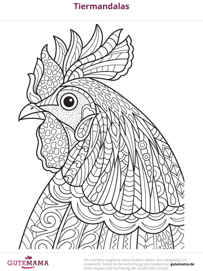 malvorlage-huhn-mandala-mit-kreativen-mustern