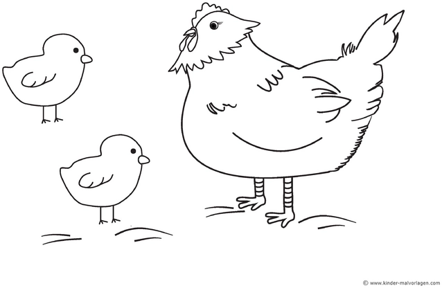 malvorlage-huhn-mit-kueken-ausmalen