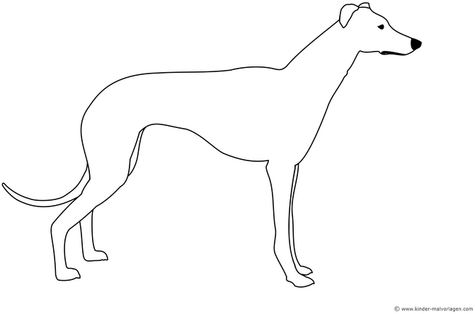 malvorlage-hund-ausmalen-vorlage