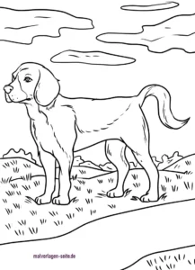 malvorlage-hund-beagle-in-der-natur