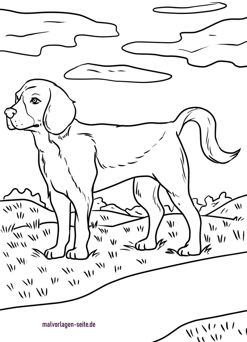 malvorlage-hund-beagle-in-der-natur