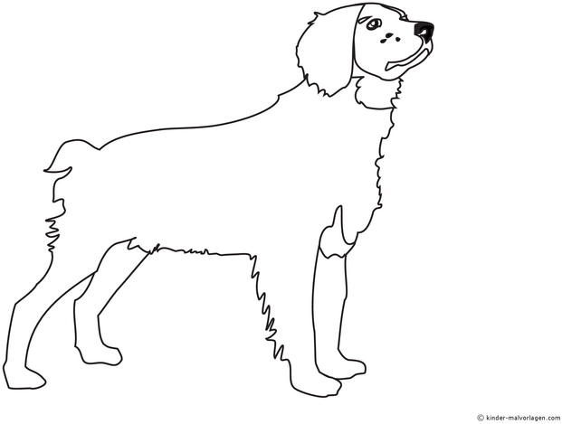malvorlage-hund-bernardiner-ausmalen