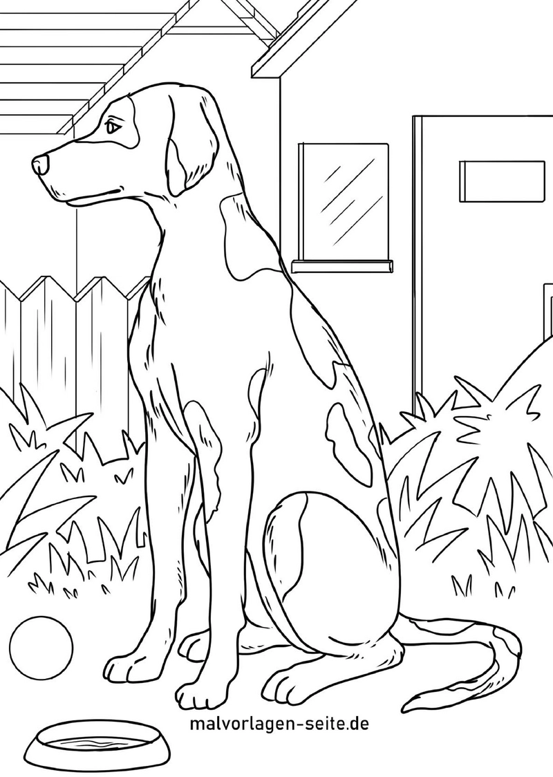 malvorlage-hund-im-garten-mit-napf-und-ball