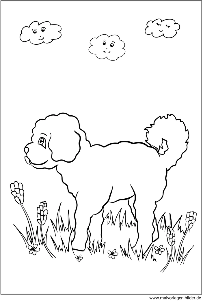 malvorlage-hund-in-der-wiese-ausmalen
