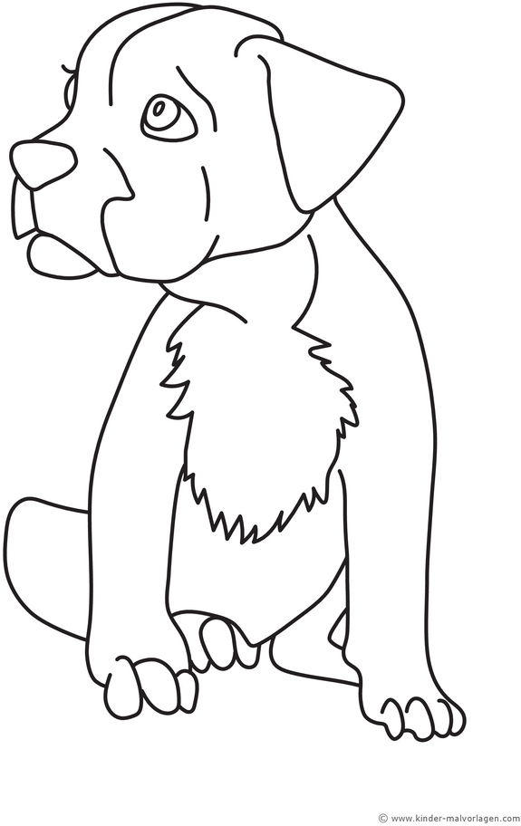 malvorlage-hundewelpe-kreativ-ausmalen