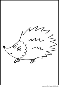 malvorlage-igel-ausmalbild-pdf