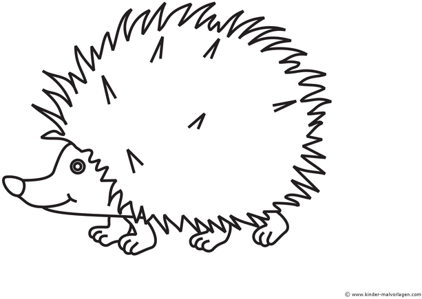 malvorlage-igel-ausmalen-kreativ-entdecken