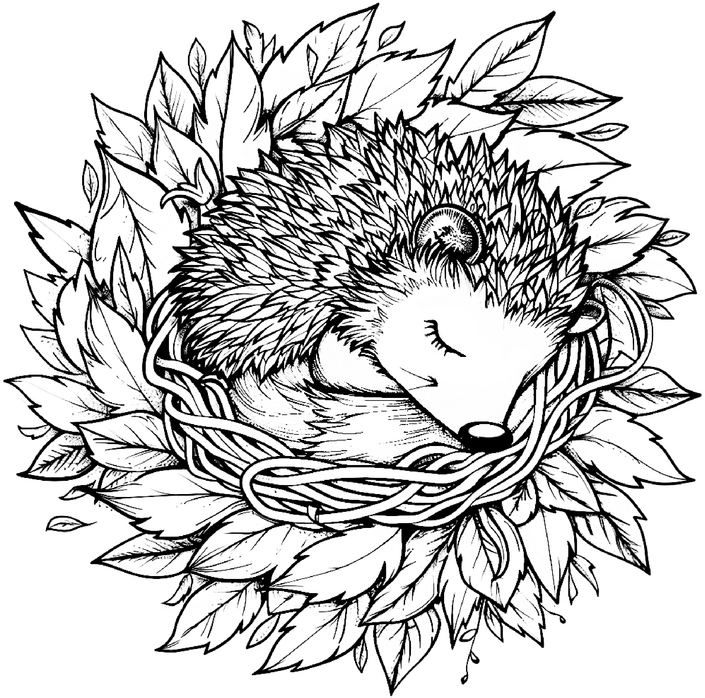 malvorlage-igel-im-blaetternest