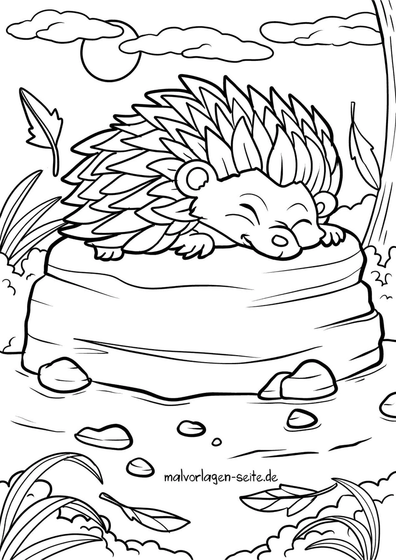 malvorlage-igel-in-der-natur-sommer-mond-und-wolken