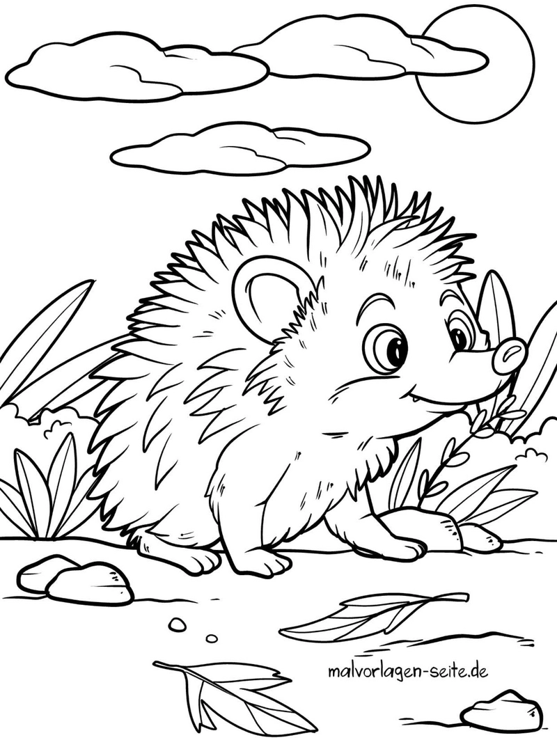 malvorlage-igel-in-der-natur