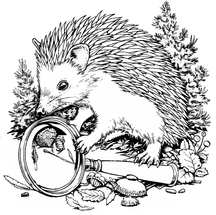 malvorlage-igel-mit-lupe-in-der-natur