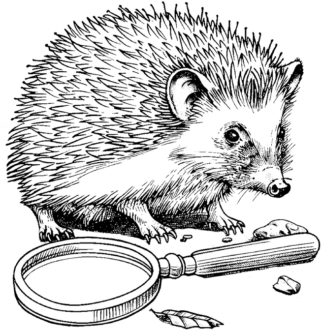malvorlage-igel-mit-lupe-zum-ausmalen