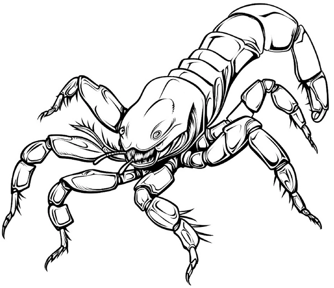 malvorlage-insekt-skorpion-ausmalen