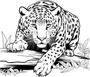 malvorlage-jaguar-ausmalbild-eines-wilden-tieres
