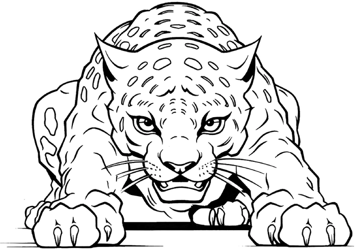 malvorlage-jaguar-ausmalbild-kreativ-erleben