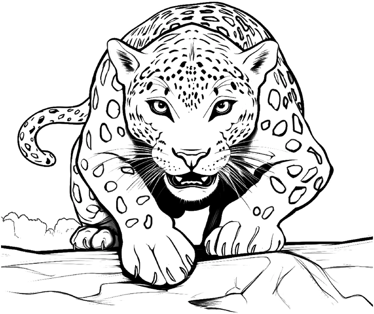 malvorlage-jaguar-im-anflug-ausmalbild