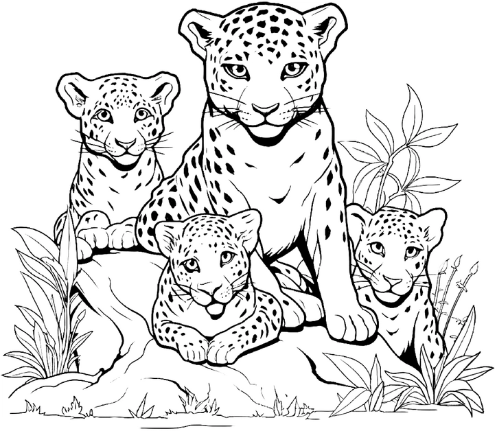 malvorlage-jaguare-mit-jungtieren-im-dschungel