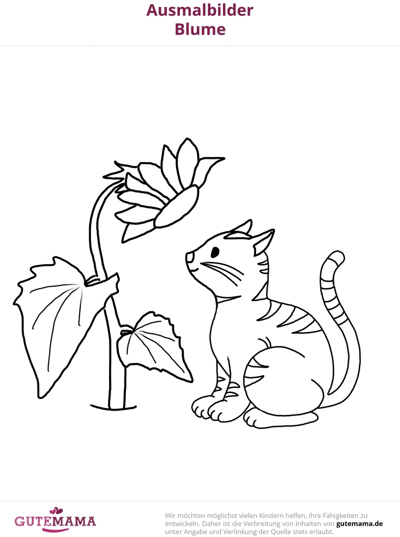 malvorlage-kaetzchen-neben-blume-zum-ausmalen