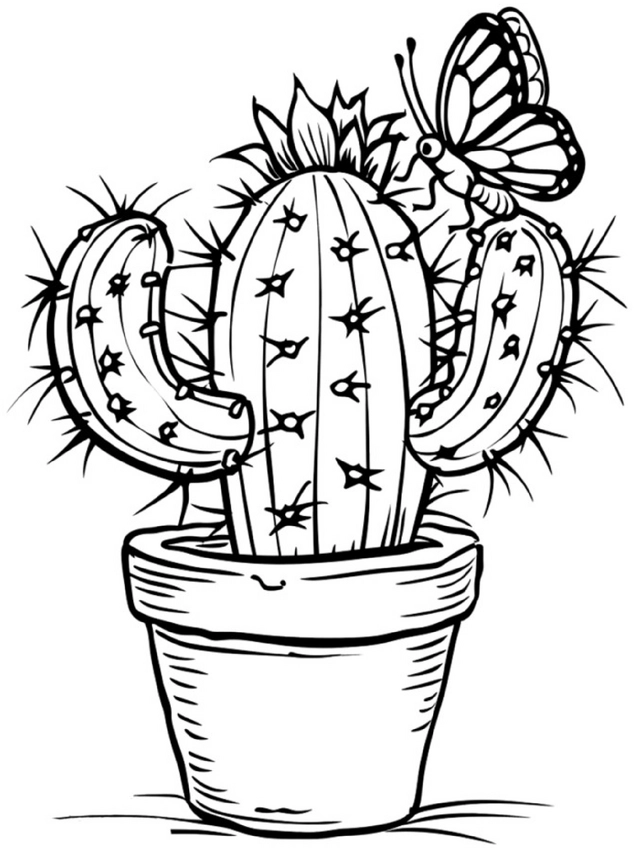 malvorlage-kaktus-und-schmetterling-ausmalen