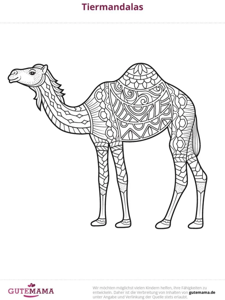 malvorlage-kamel-im-mandala-design-zum-ausmalen