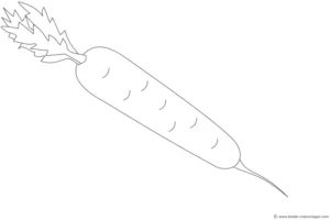 malvorlage-karotte-zeichnen-und-ausmalen