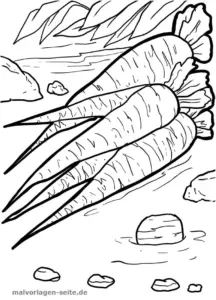 malvorlage-karotten-ausmalen-fuer-kinder