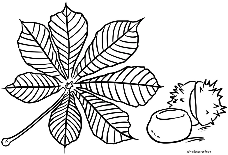 malvorlage-kastanienblatt-und-kastanienfruechte