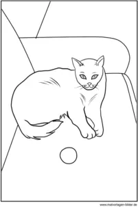 malvorlage-katze-auf-sofa