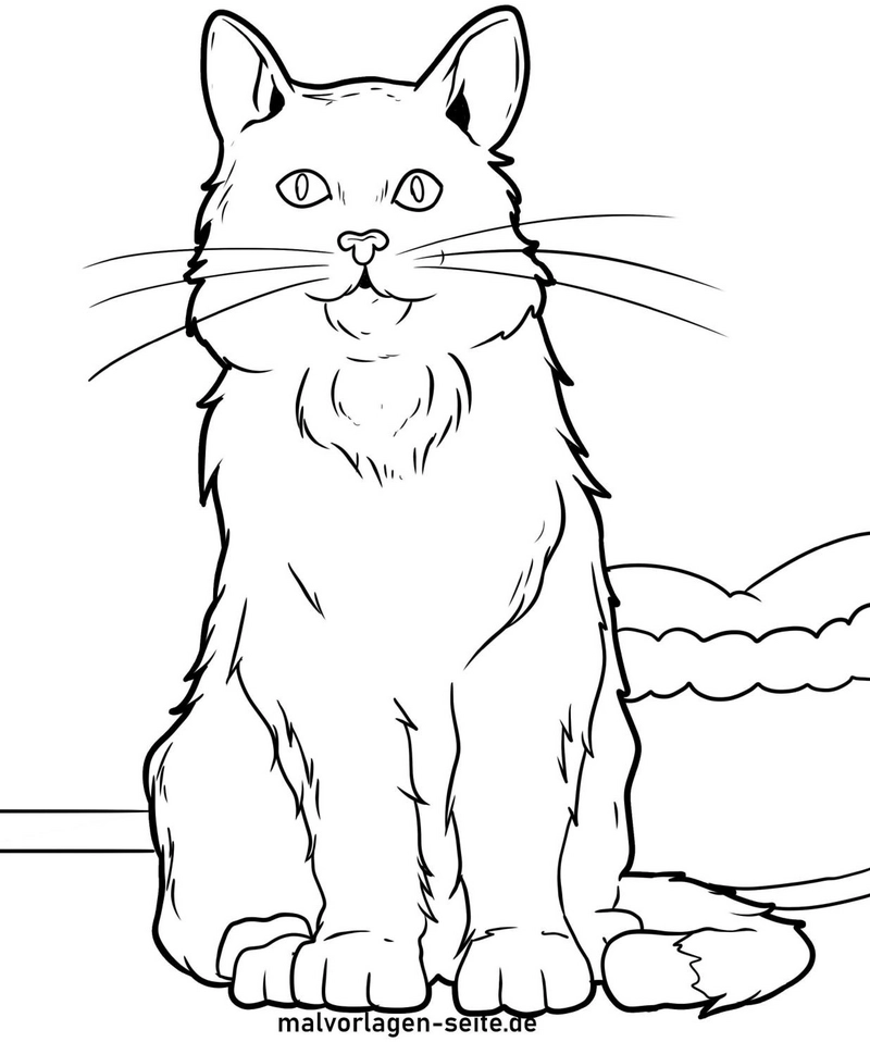 malvorlage-katze-ausmalbilder-fuer-kinder