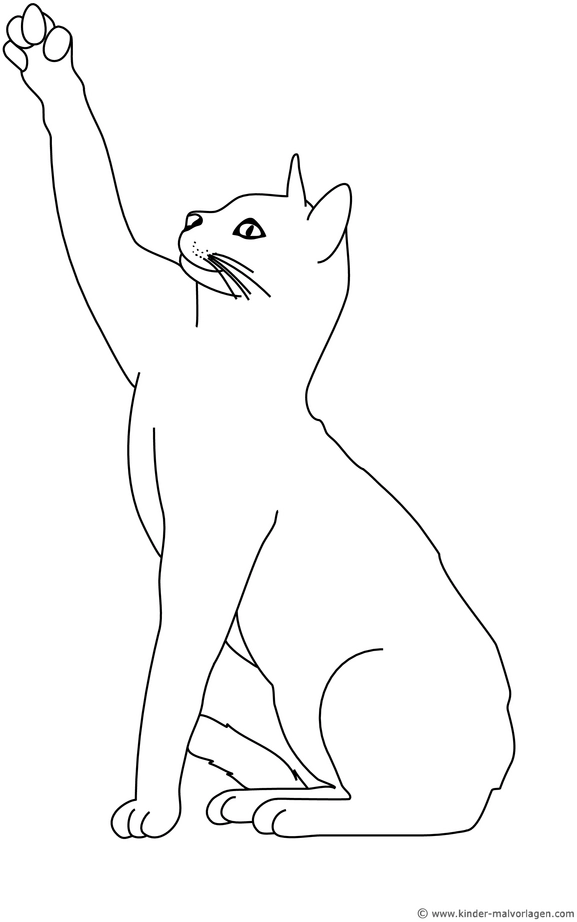 malvorlage-katze-mit-pfote-in-die-luft