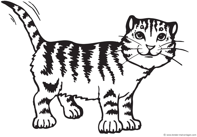 malvorlage-katzenkater-suesse-tierszenen
