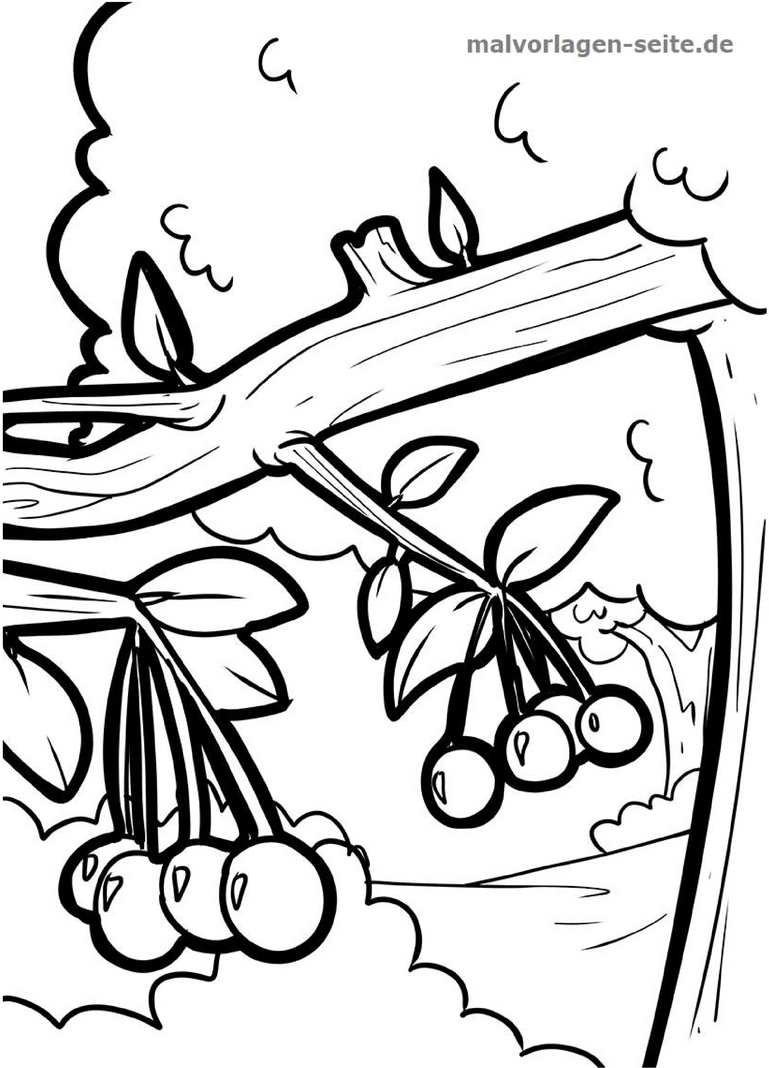 malvorlage-kirschen-am-baum