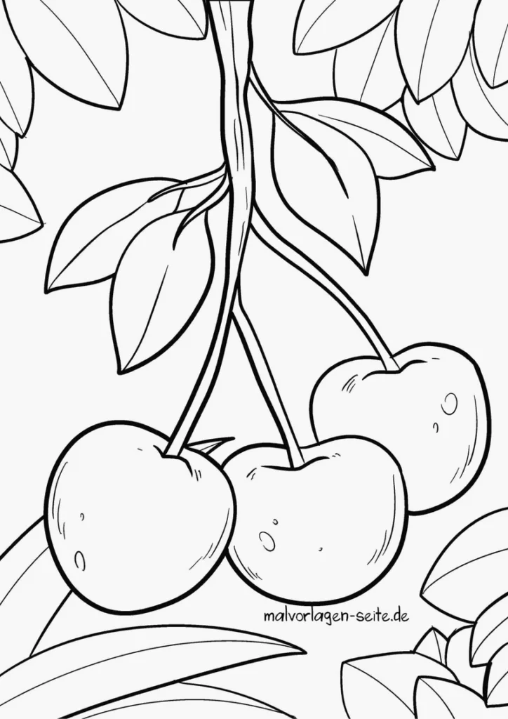 malvorlage-kirschen-drei-an-einem-zweig