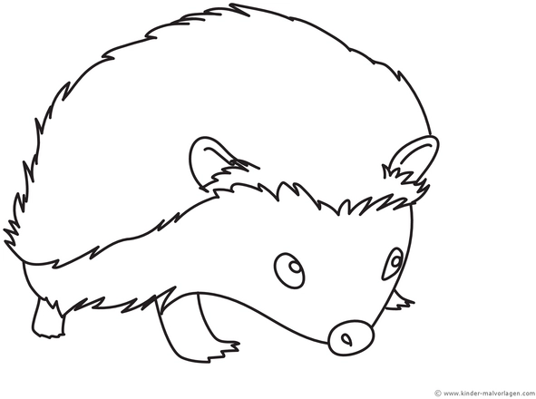malvorlage-kleiner-igel-ausmalen