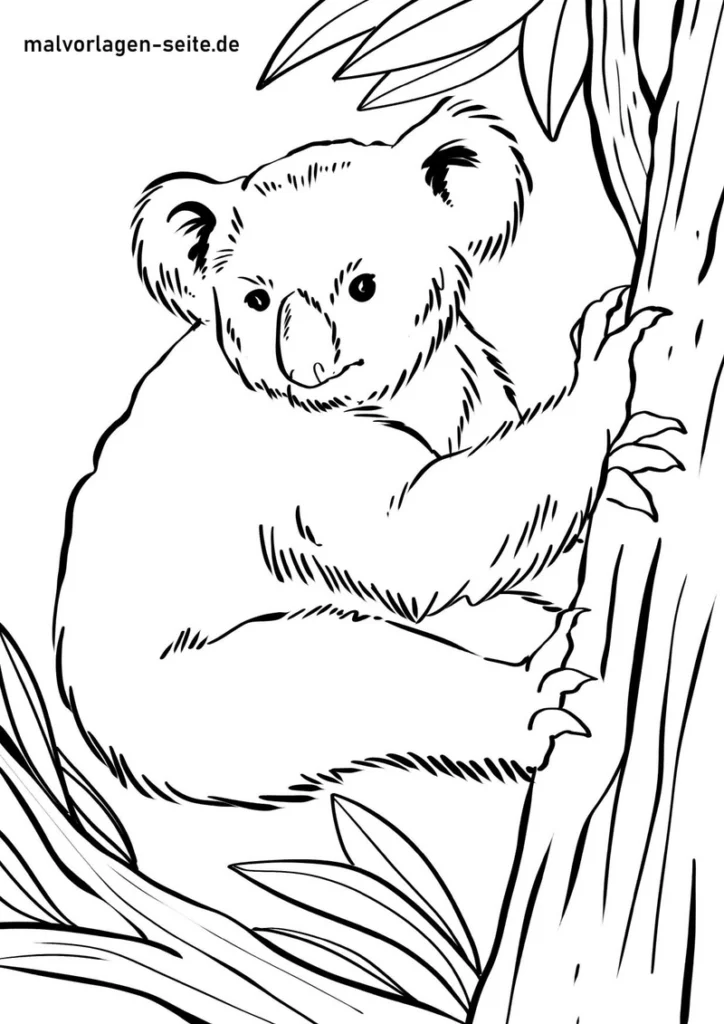 malvorlage-koala-am-baum-ausmalen