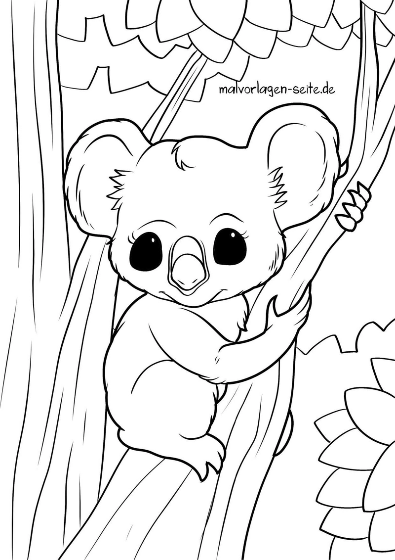 malvorlage-koala-im-baum