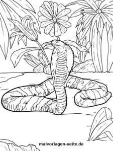malvorlage-kobra-in-pflanzen