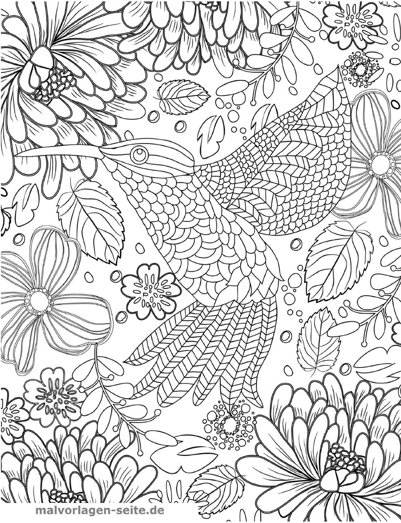 malvorlage-kolibri-blumen-ausmalen