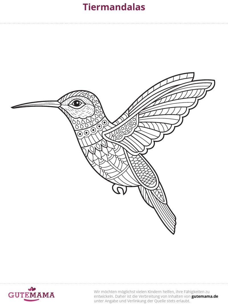 malvorlage-kolibri-mandala-ausmalbild-fuer-kinder