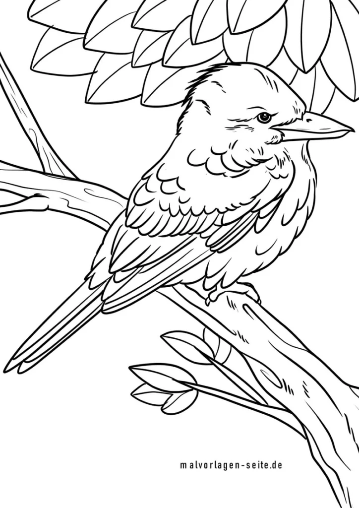 malvorlage-kookaburra-auf-ast-mit-pflanzen