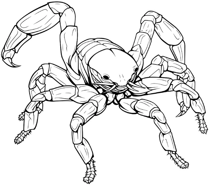 malvorlage-krabbe-mit-detaillierter-darstellung