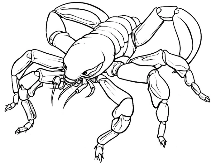malvorlage-krabbeninsekt-fuer-kreative-ausmalprojekte