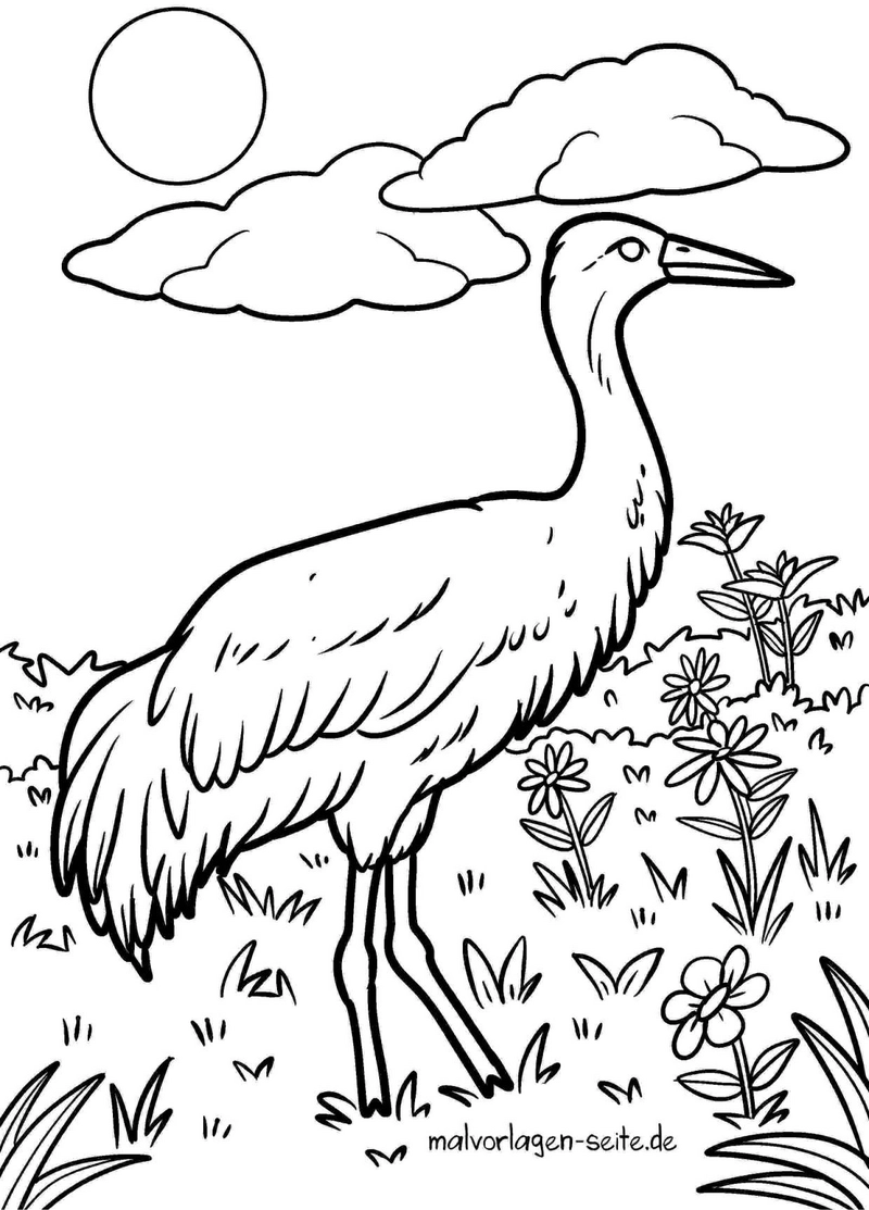 malvorlage-kranich-in-der-natur-mit-blumen-und-sonne