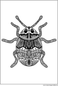 malvorlage-kreativer-kaefer-ausmalen