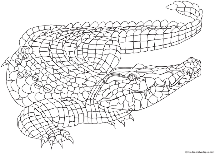 malvorlage-krokodil-ausmalen-unterwasserwelt