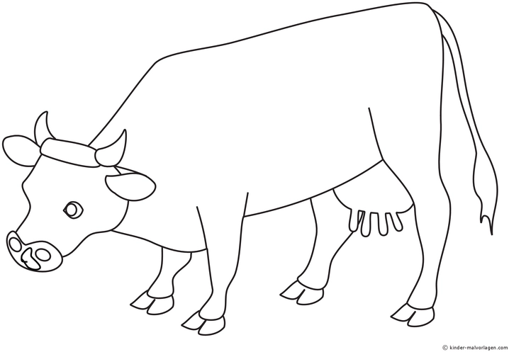 malvorlage-kuh-bauernhof-ausmalbild