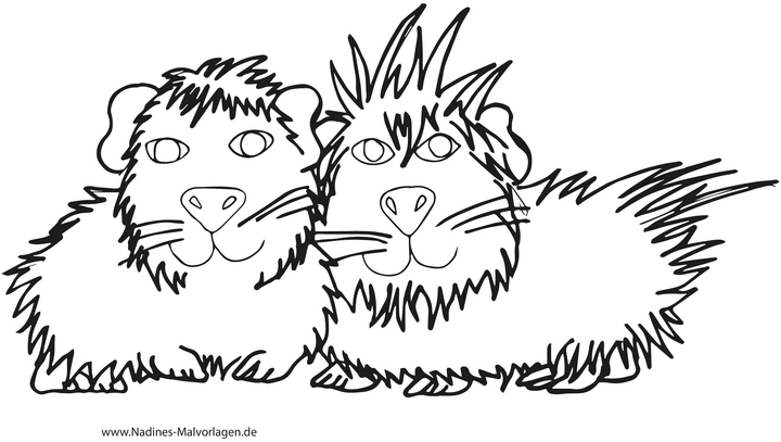 malvorlage-kuschelige-meerschweinchen-ausmalen