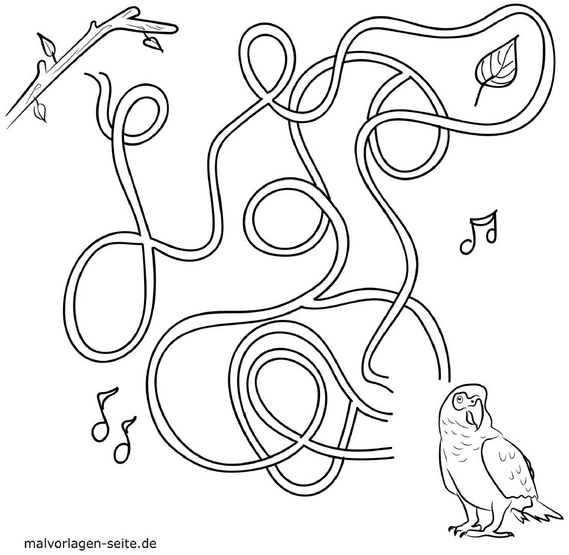malvorlage-labyrinth-mit-papagei-und-musiknoten